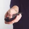Unicode Lets Hackers Hide Malicious Web Pages